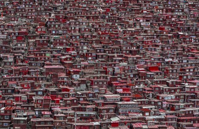 Red houses Ali Al-Jazeri