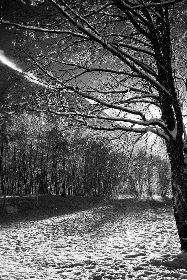 Résilience Jérôme Prince