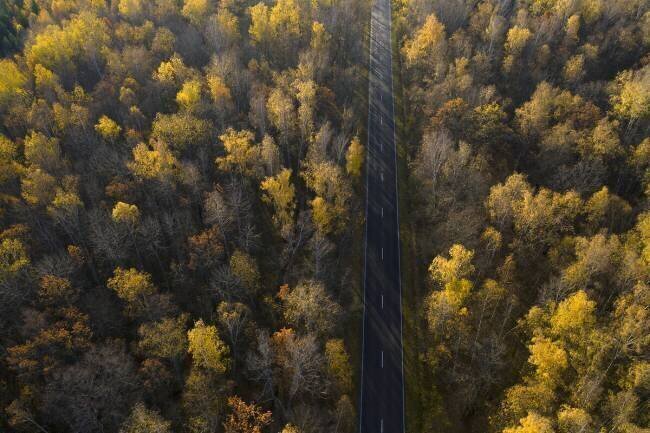 Road Dmitry Doronin