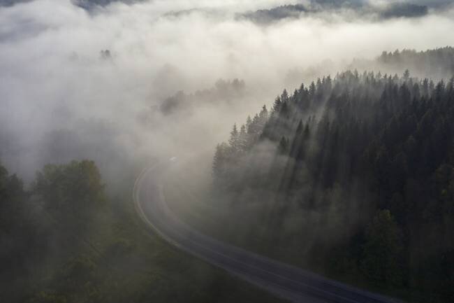 La route du brouillard Dmitry Doronin