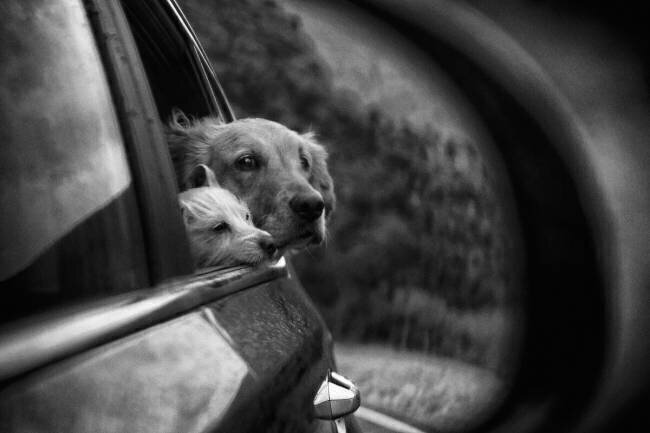 Roadtrip Roxana Labagnara