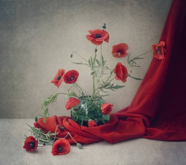 Rouge Dimitar Lazarov