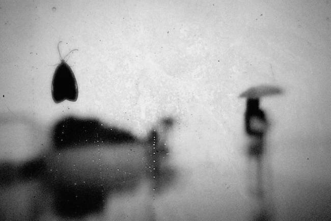 Sans titre Teruhiko Tsuchida