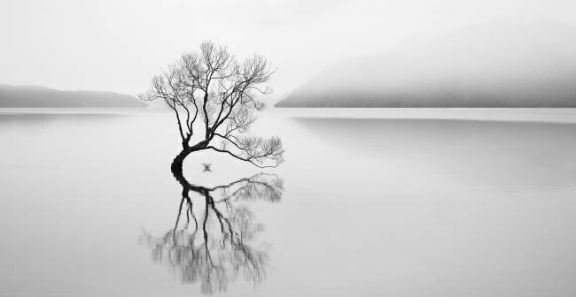 Serenity Neville Jones