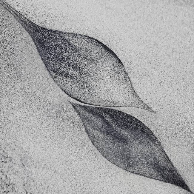 Shaped by a creative wind Piet Flour