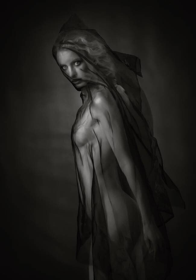 Sheer Black Catchlight Studio