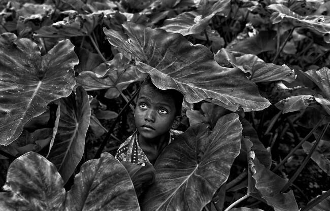 Shelter Avishek Das 