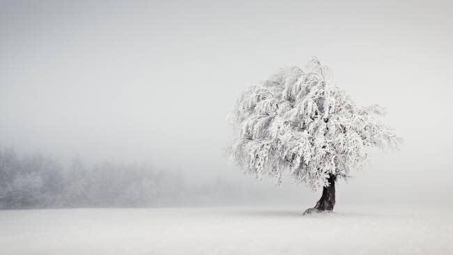 Silence Andreas Wonisch