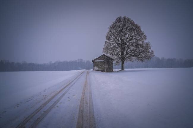 Silence Renate Wasinger