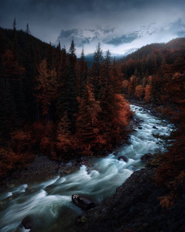 Sin lineas Juan Pablo de Miguel