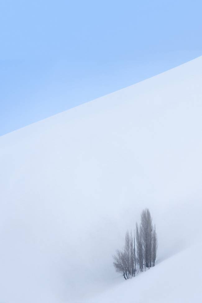 Single Tree in the Mountain Majid Behzad