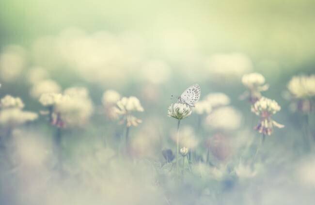 Small world Takashi Suzuki