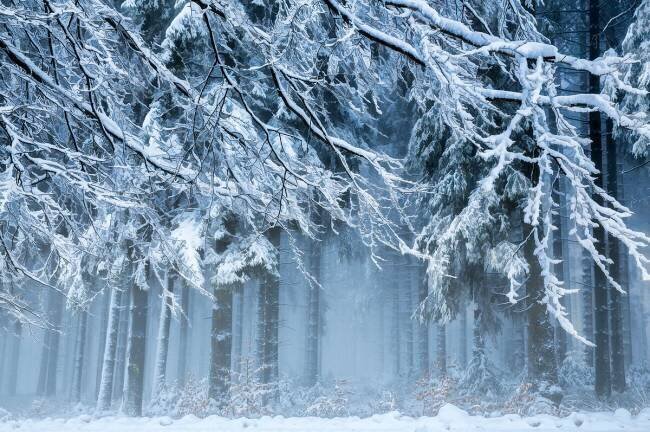Snowworld Anton van Dongen