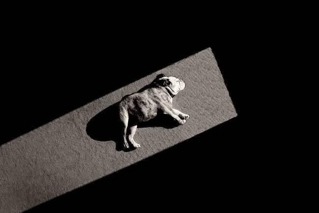 Solar Non-Powered Mike Melnotte