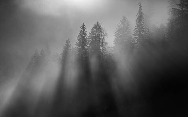 Soleil d'hiver Andy Dauer