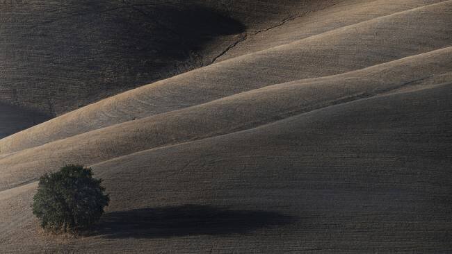 Bientôt mon ombre se dissoudra Claudio Moretti
