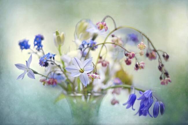 Spring Treasures Jacky Parker