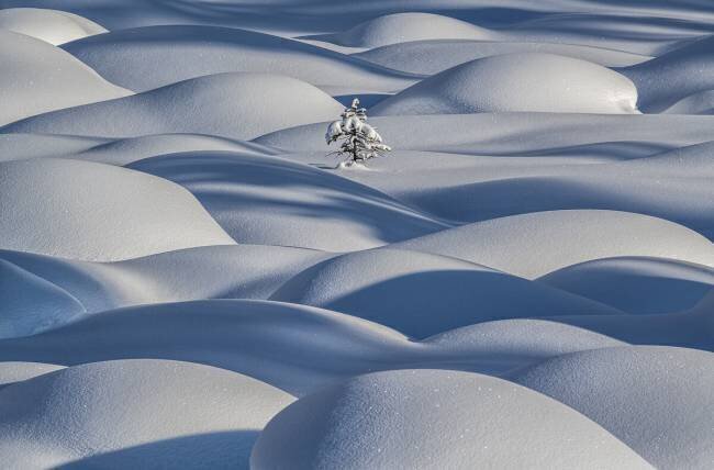 Standing Strong James S. Chia