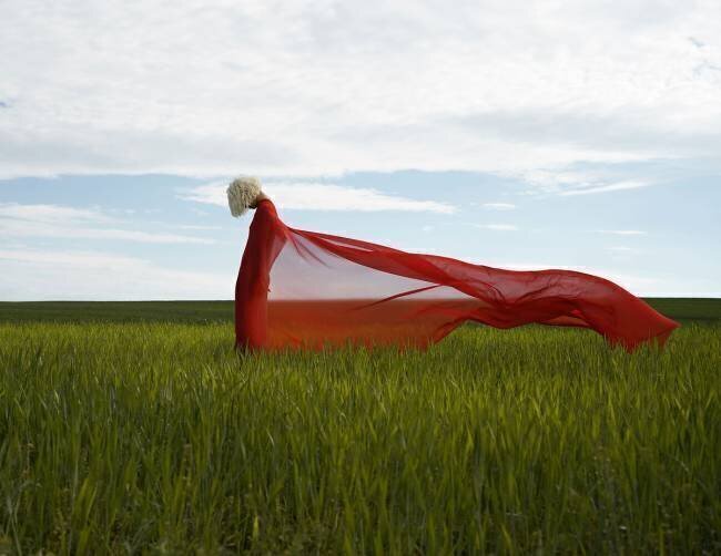 Summer wind Larisa Usmanova
