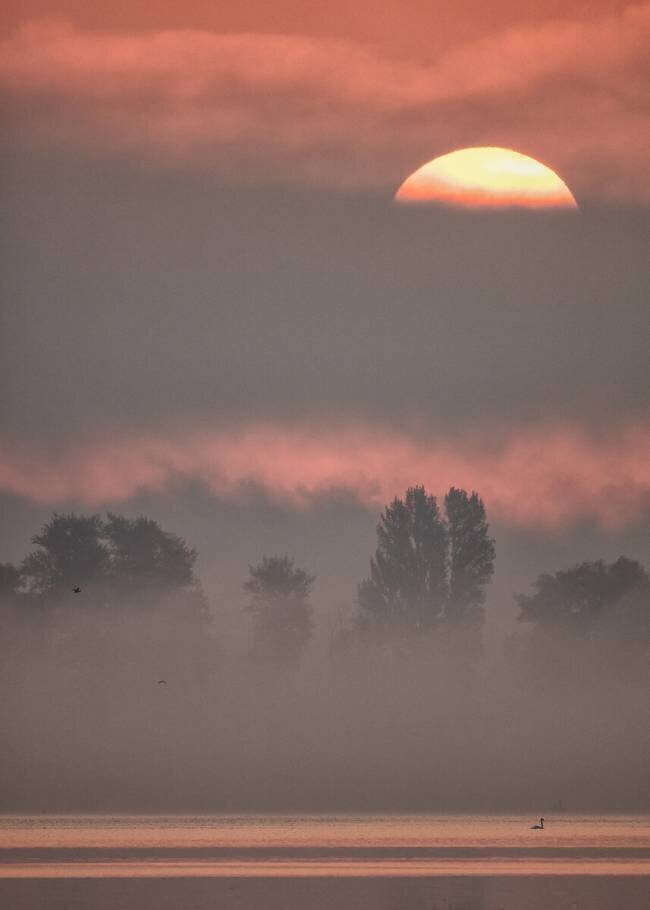 Sun III Heinz Hieke