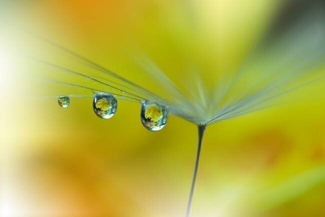 SunBeam...III Juliana Nan