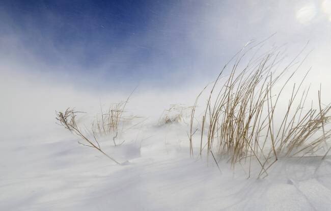 Tempête de neige ensoleillée Carlo Tonti