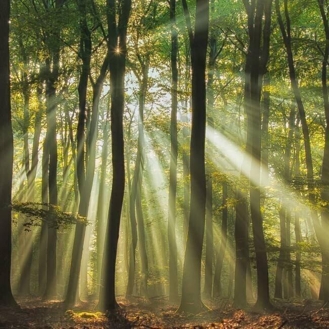 Sunny start to the day Piet Haaksma