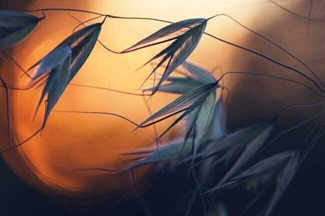 Sunset Dimitar Lazarov