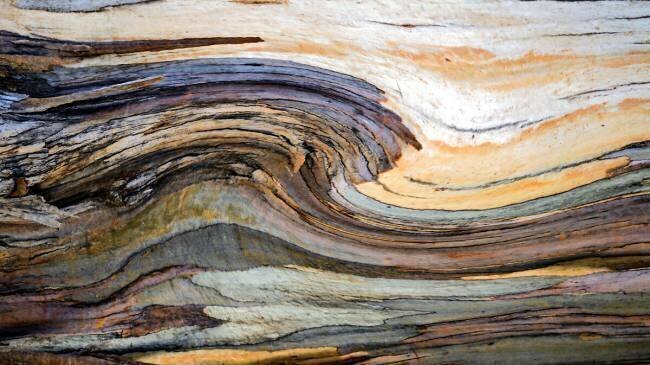 Surfs up, abstractly Robin Wechsler