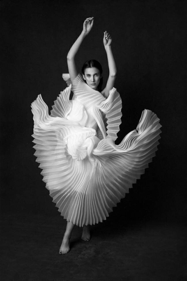 Swan Lake Peyman Naderi