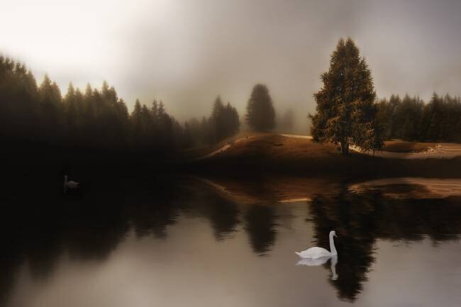 Swan Lake Michael