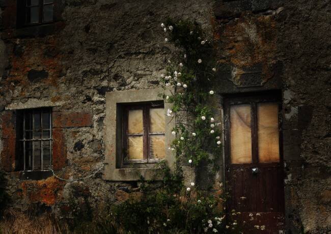 Sweet home Anna Cseresnjes 