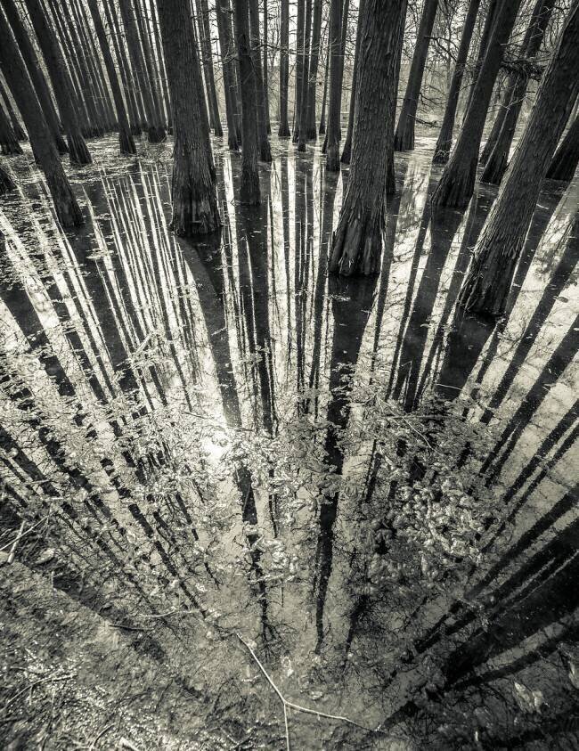 Synchronicity Aurel Manea