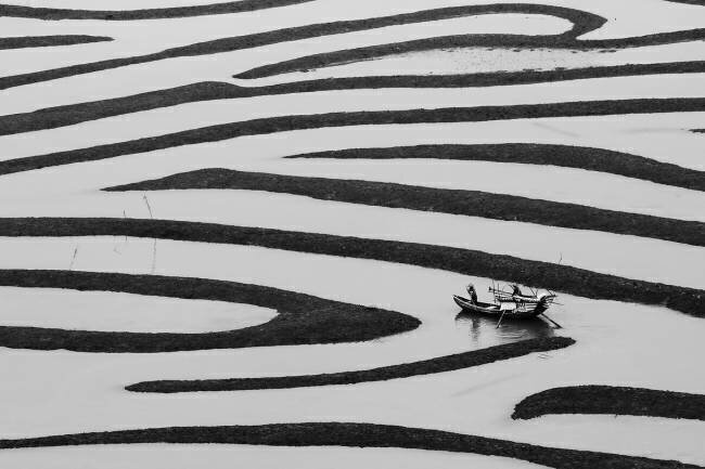 The Beauty of Simple Life YouduTian