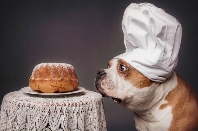 The Confectioner and his masterpiece Heike Willers