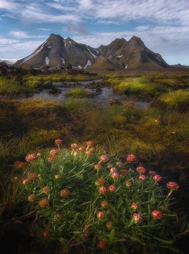 The Highlands of Iceland YY DB