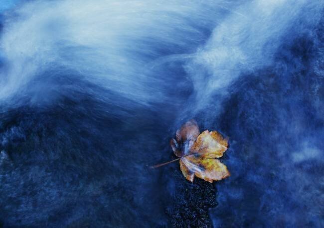 The landing Michel Manzoni