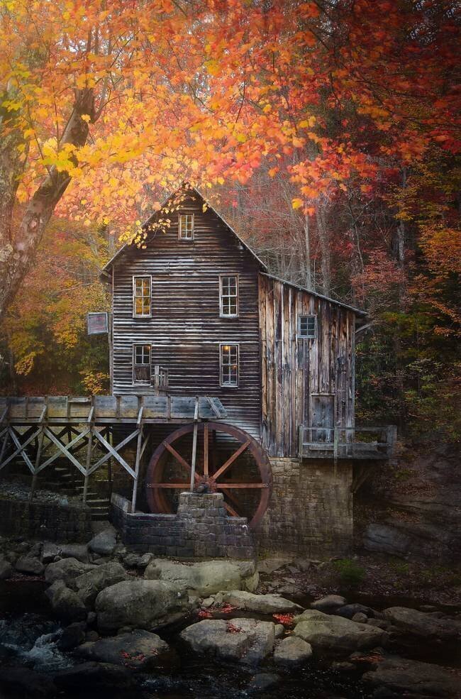 The Mill Catherine W.