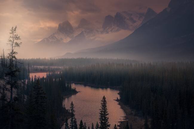 The Revenant David Martin Castan