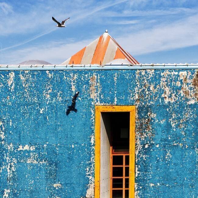 The Seagull Massimo Della Latta