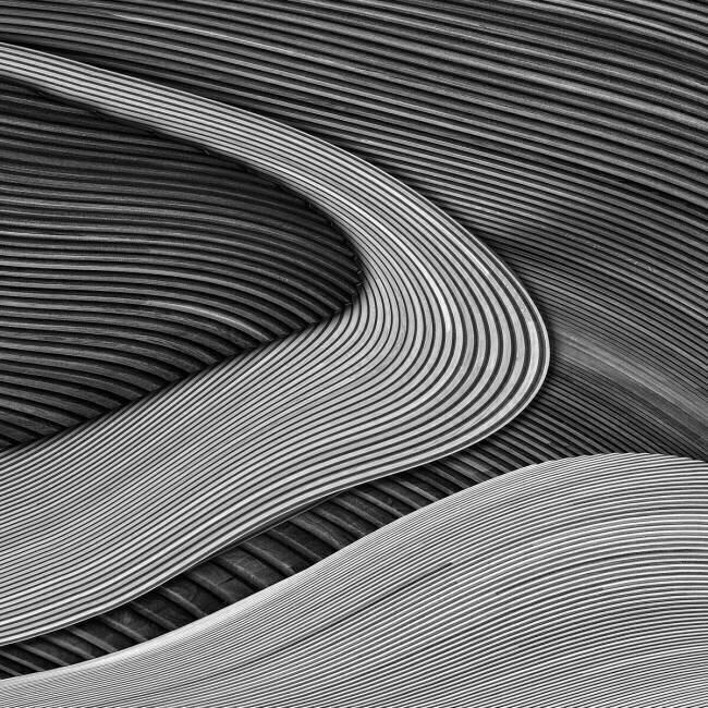 The wood project III - Zen garden Luc Vangindertael (laGrange)