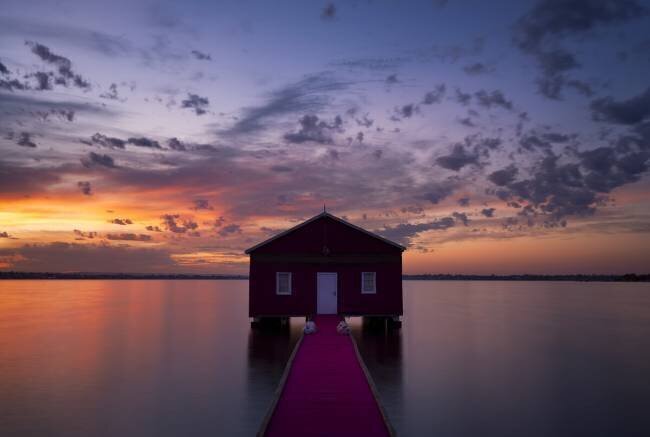 Tickled Pink Richard Vandewalle