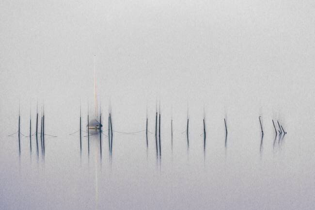 Time out Roswitha Schleicher-Schwarz