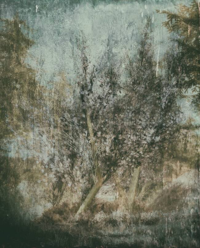 To everything there is a season Delphine Devos