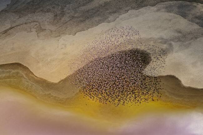Traversée du lac Natron Phillip Chang