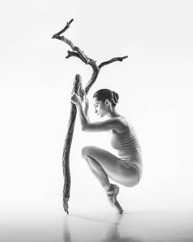 Tree Łukasz Kozłowski
