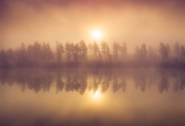 Tree Line Andreas Christensen