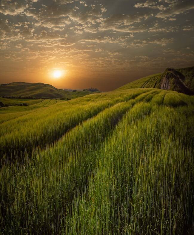 Tuscany's energy Isam Telhami