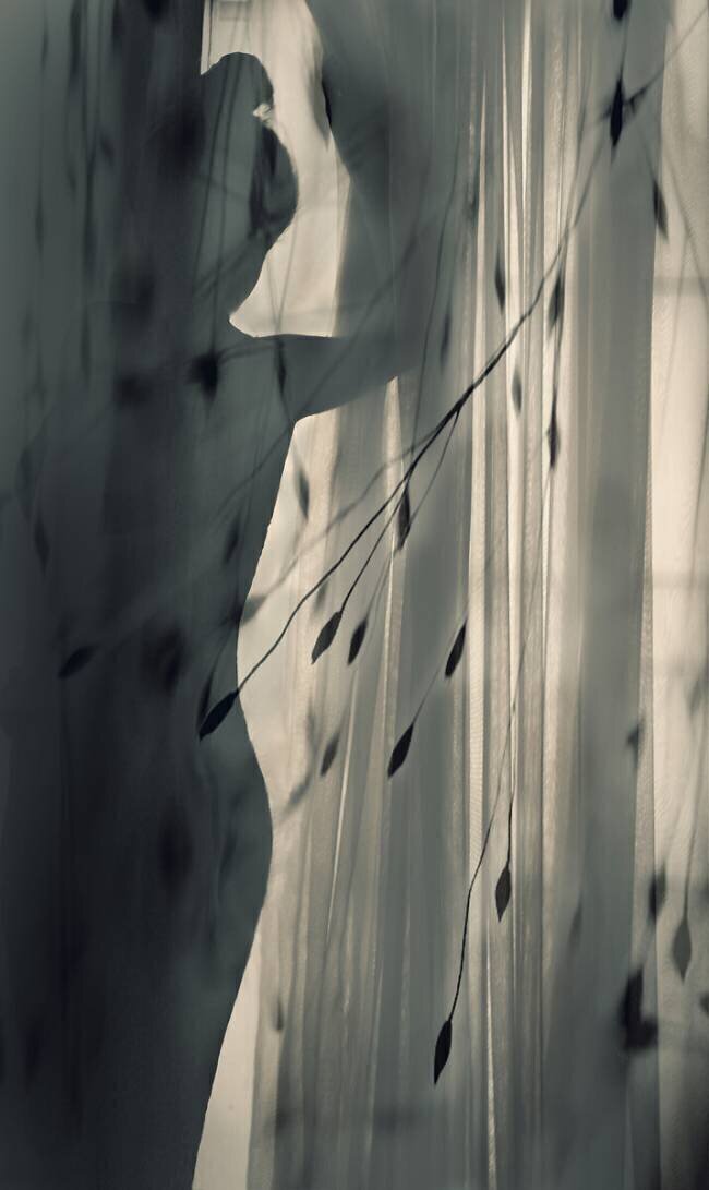 Uncertain Sahar Karami