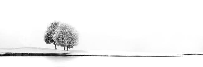 United #2 Marc Huybrighs